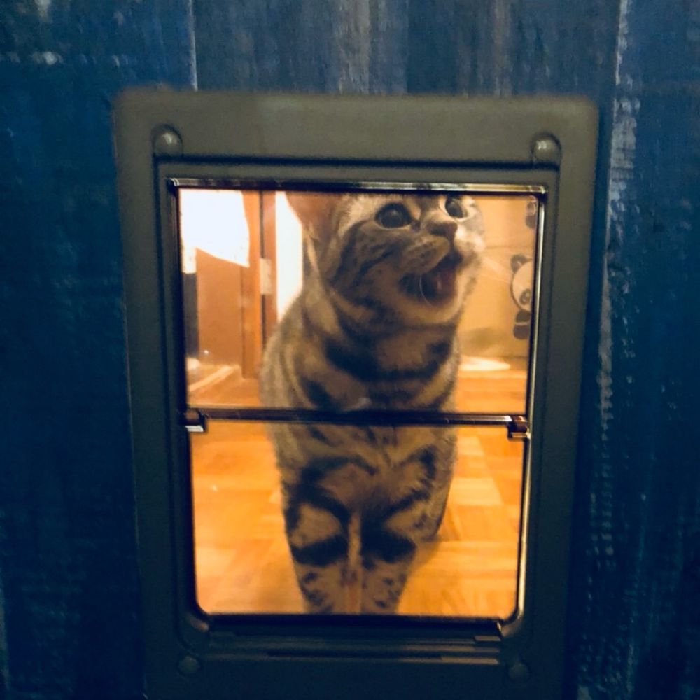 いと