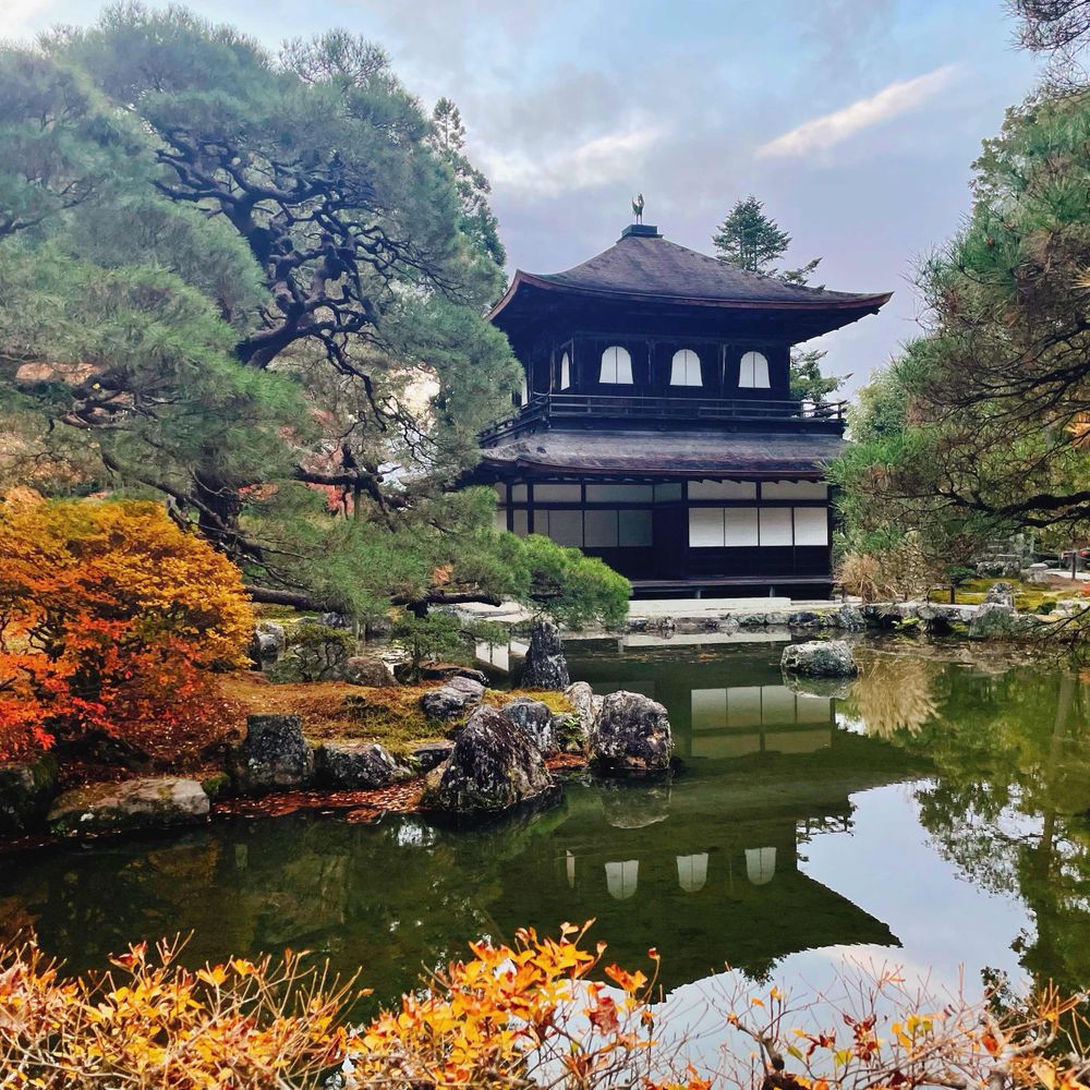 土着の藻