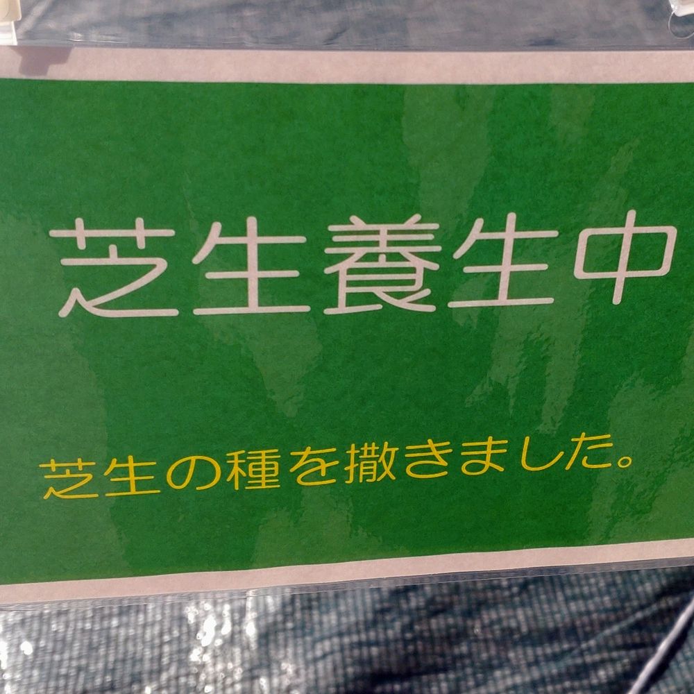 人工芝