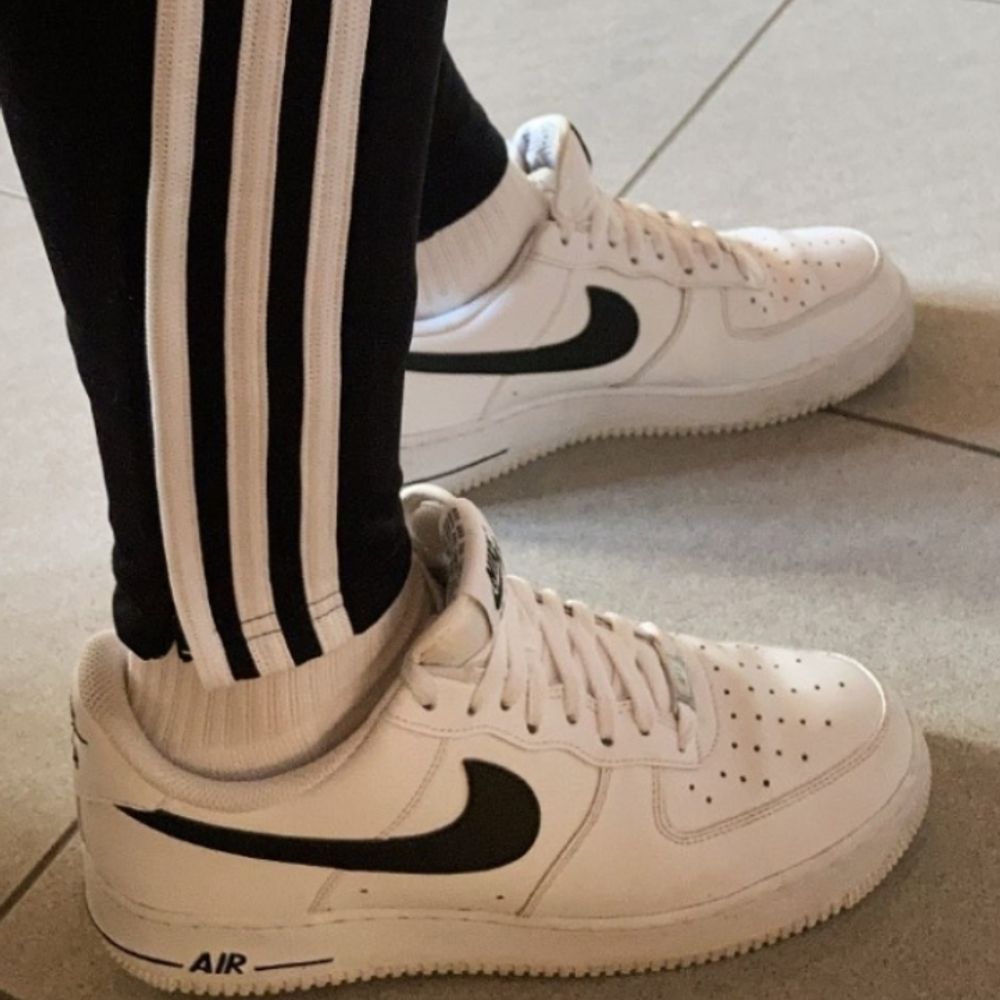 Snksx_guy