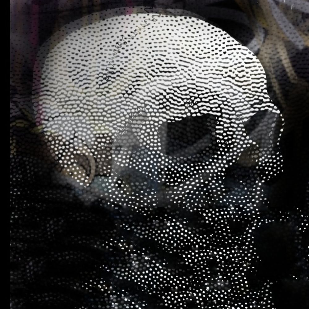 Sig 💀✨