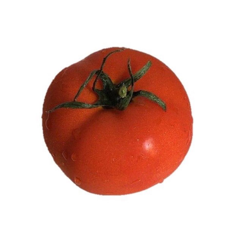 @ogvbin🍅