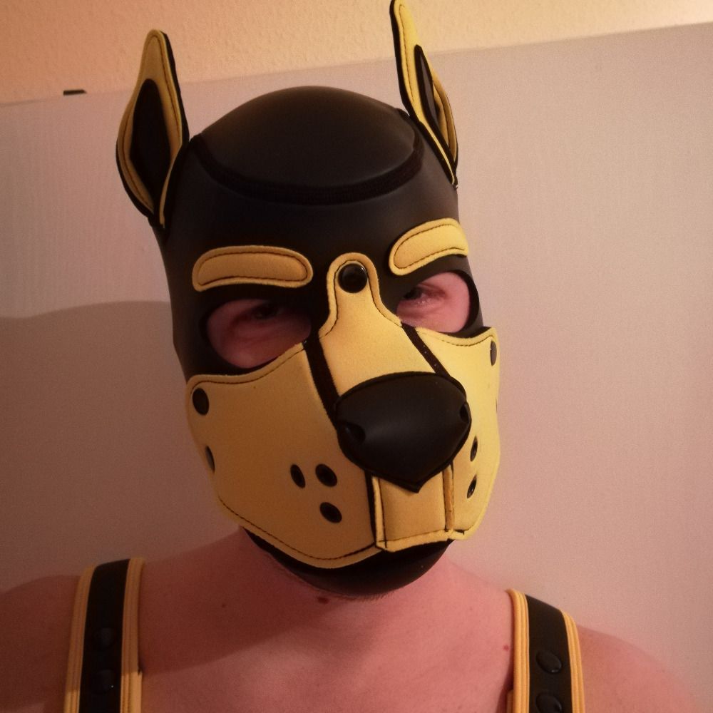 Pup Dad Asyr