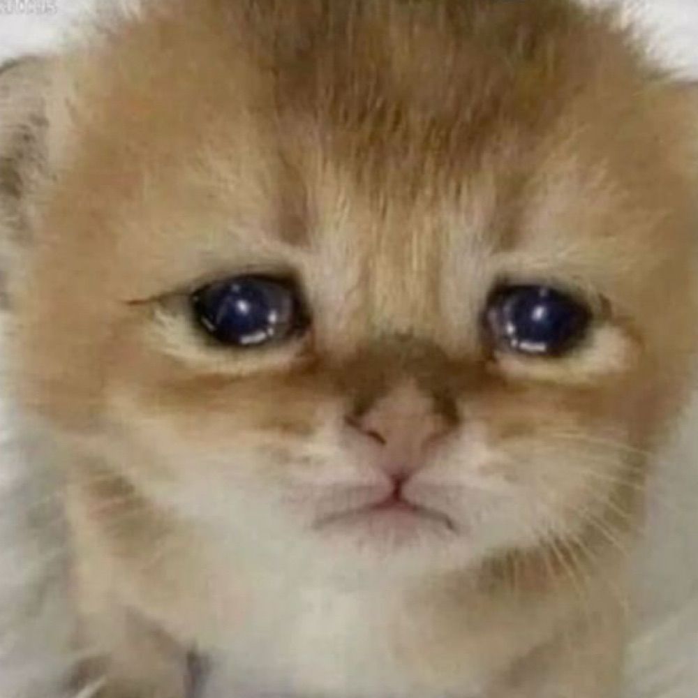 ignore this account 