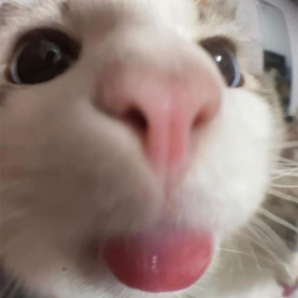!