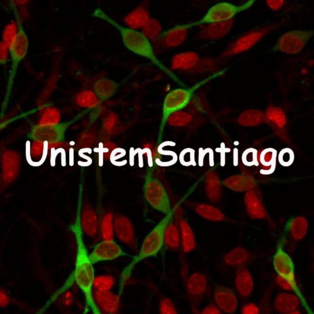 Unistem Santiago