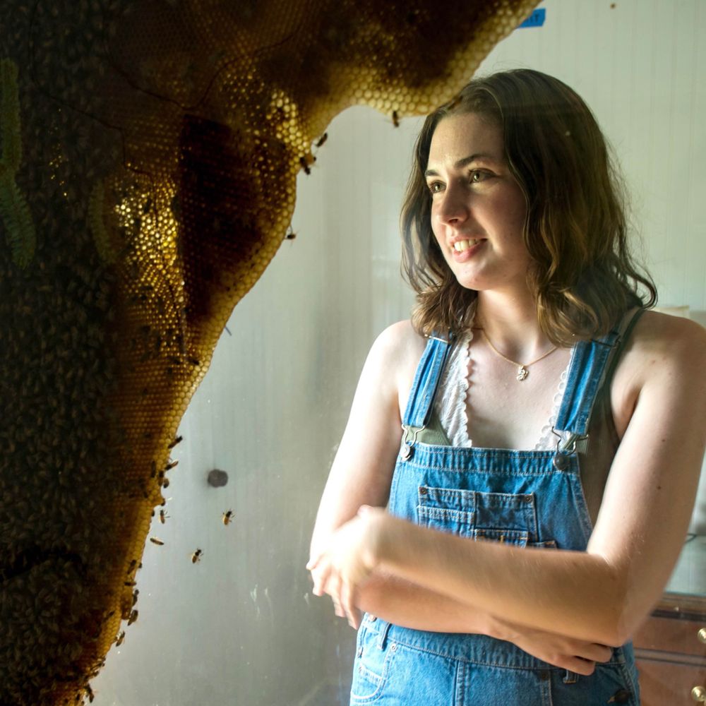 Claire Bailey🦐🐜🐝