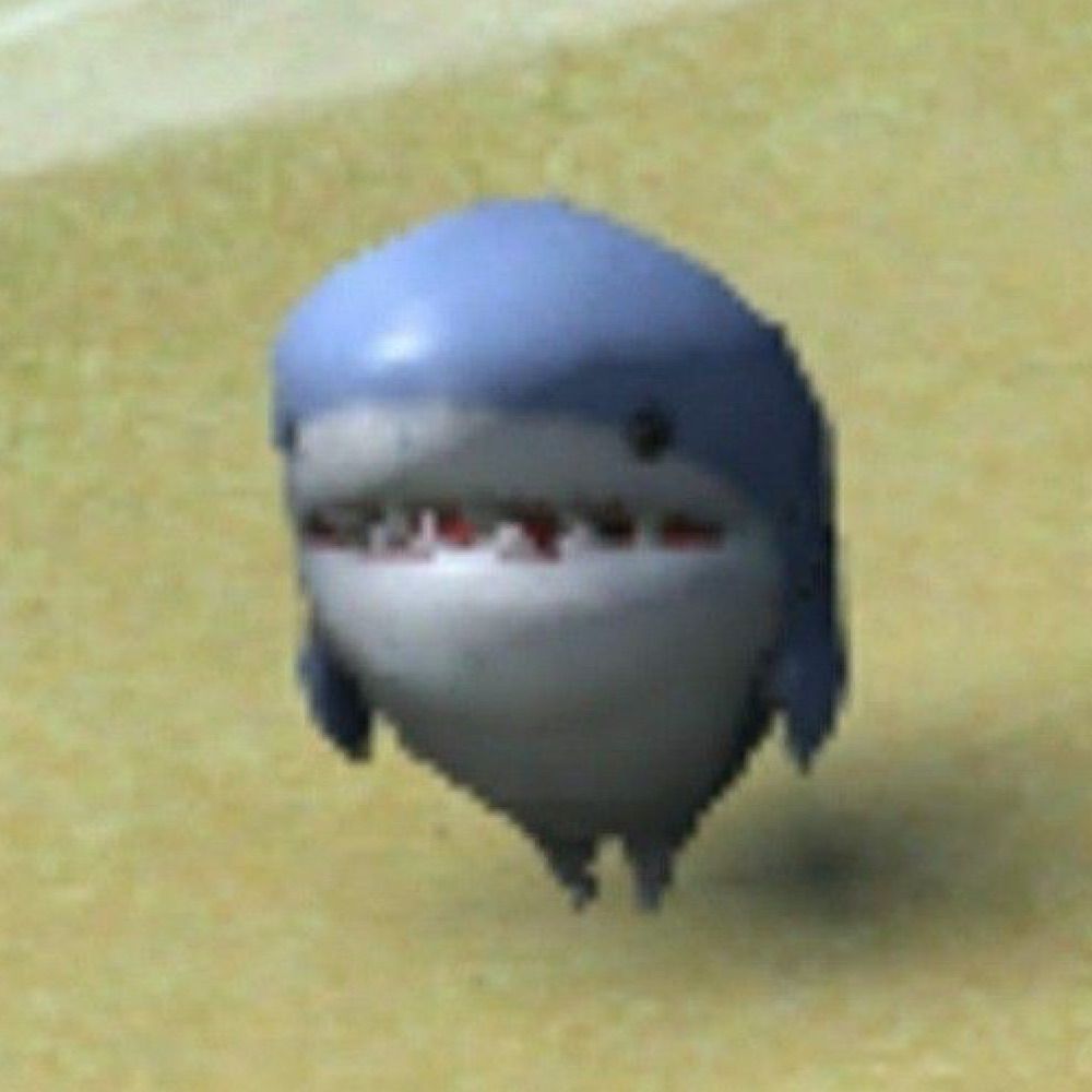 TimidShark