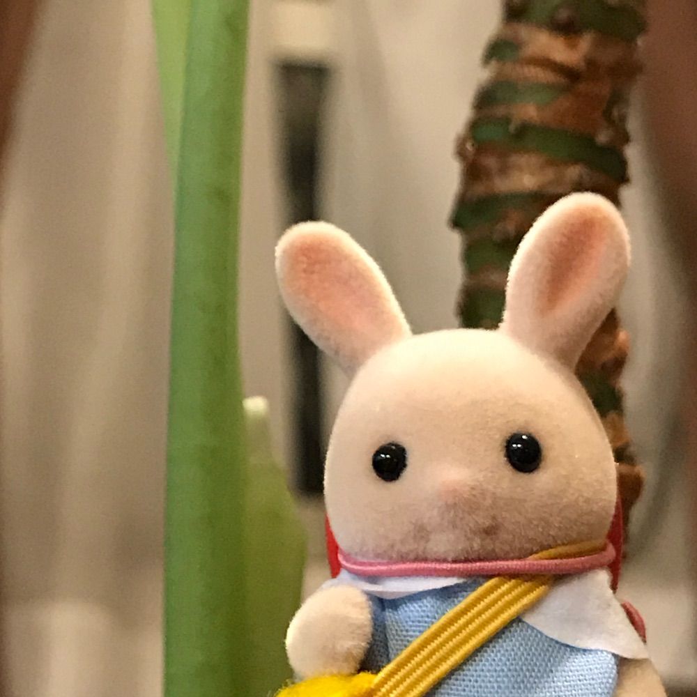 小方
