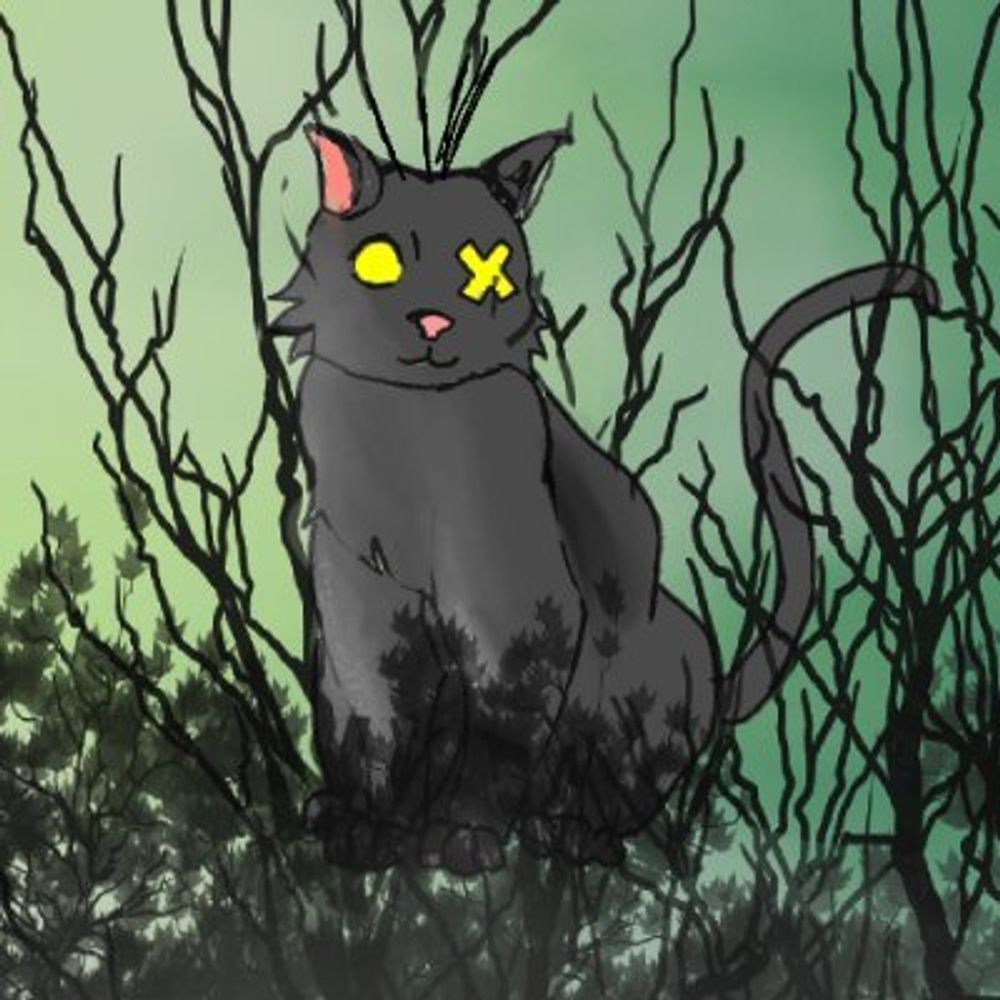 The witch 