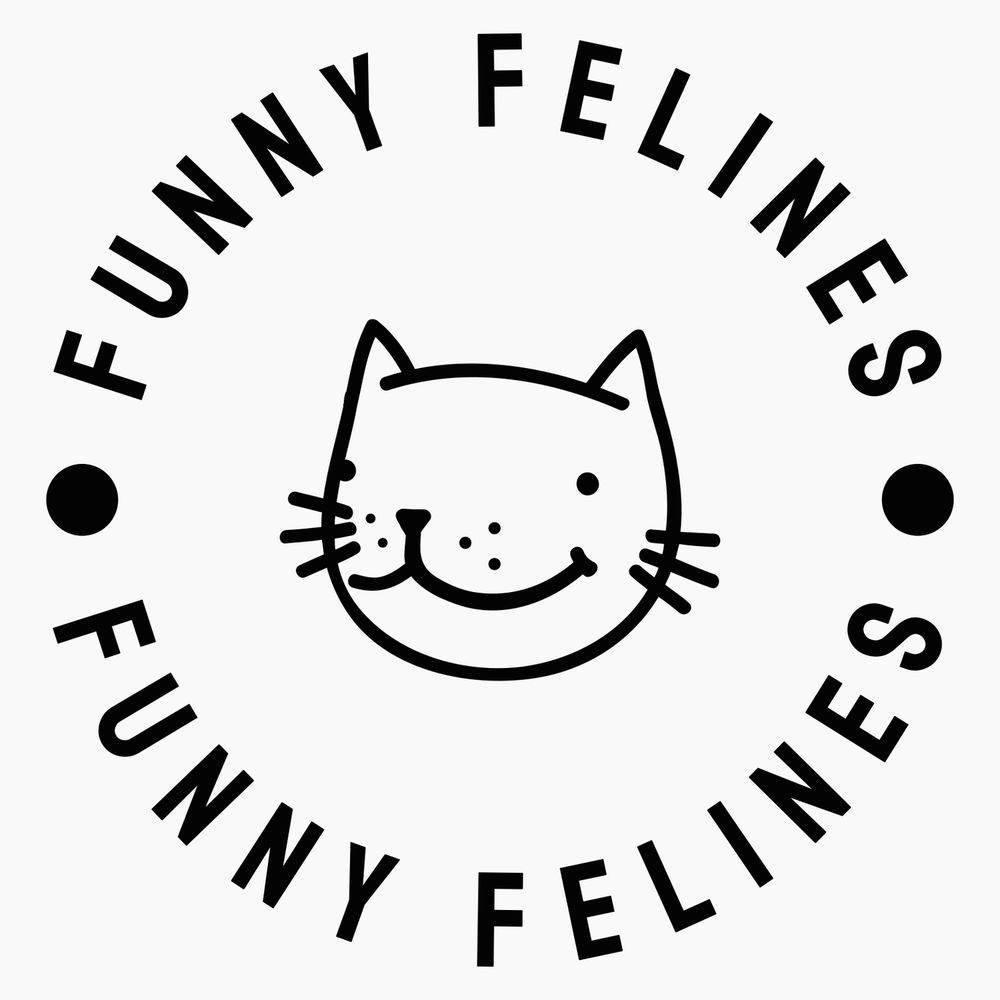 Cats Doing Funny Cat Things 
