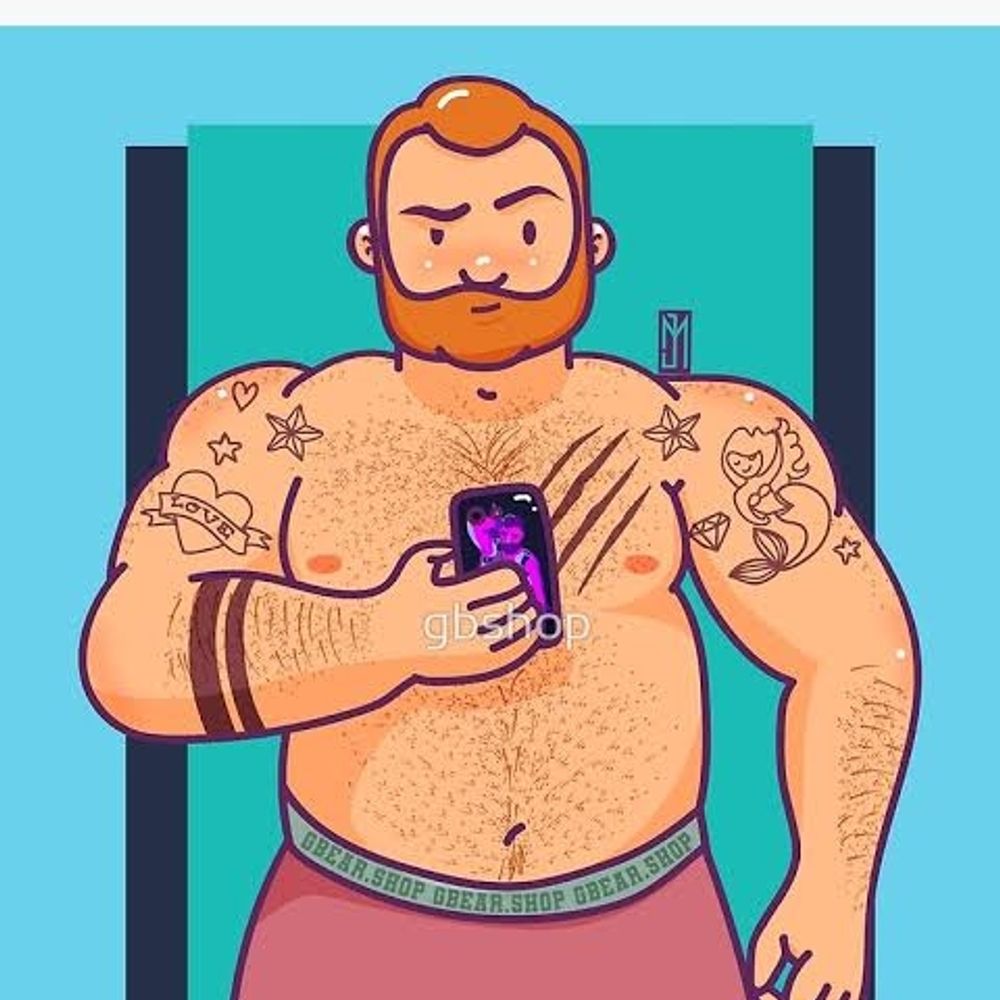 Bearsfd