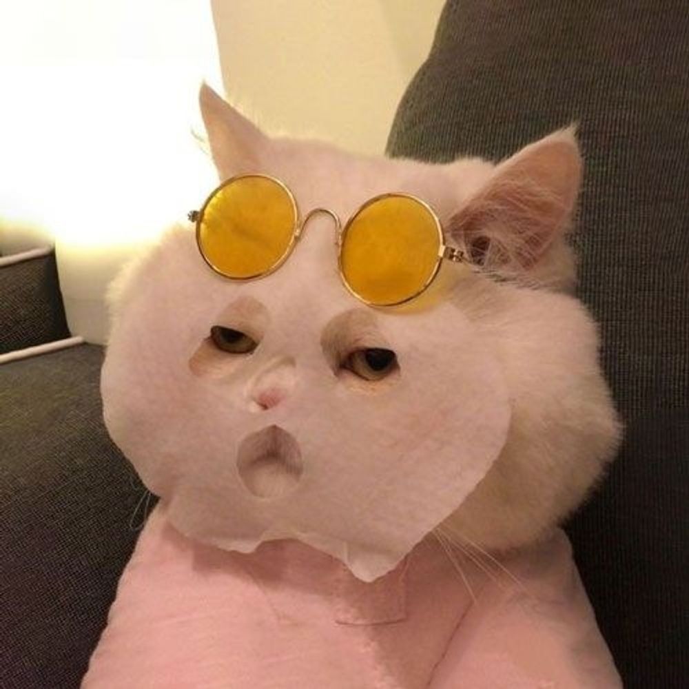 𝐢𝐜𝐚𝐚