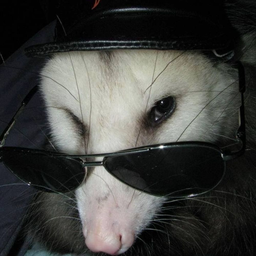 Thablito