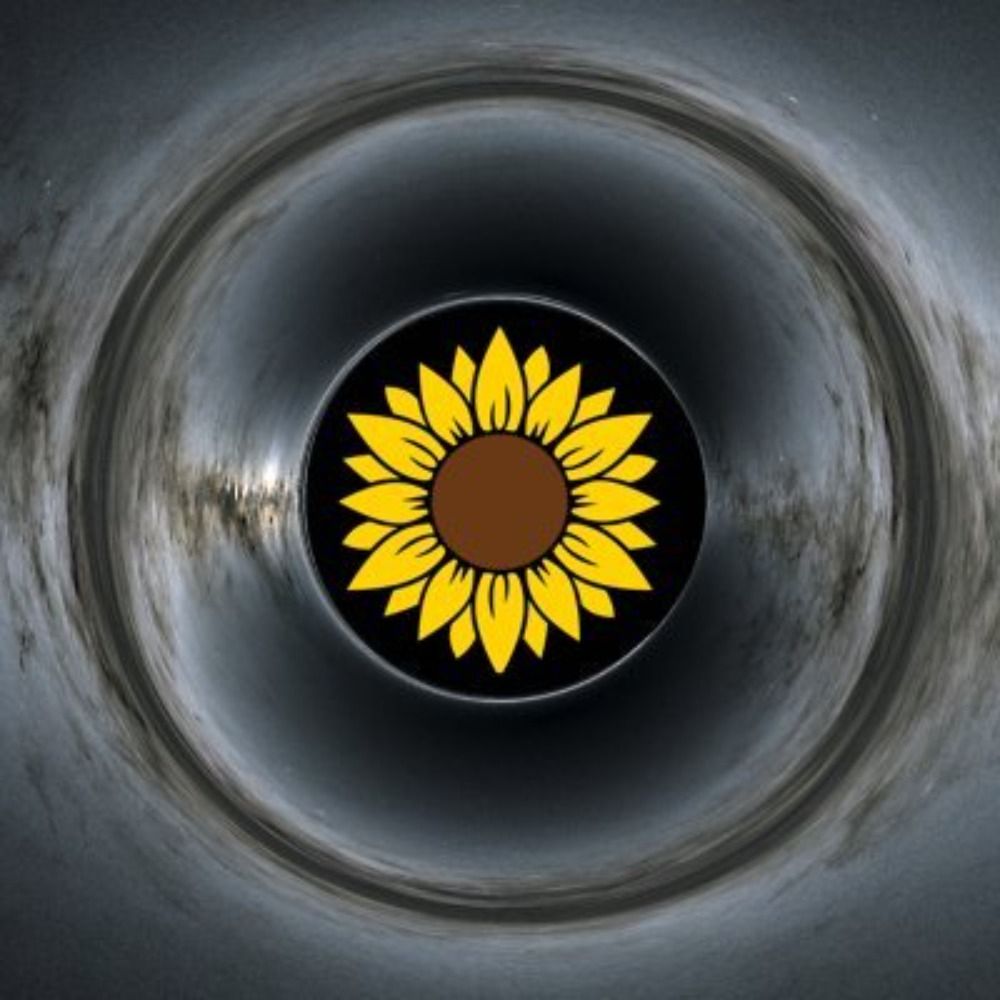 Blackhole sun won't you come & wash away the Nazis's avatar