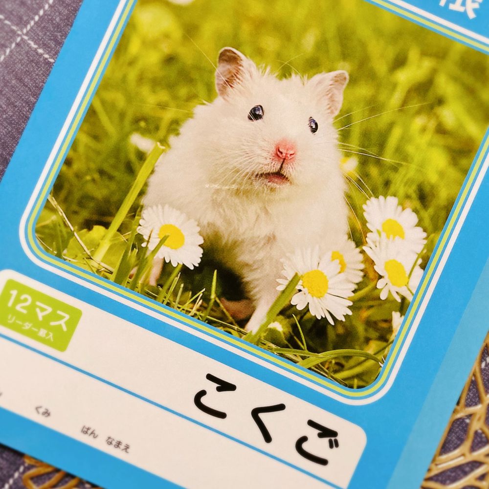ささみ