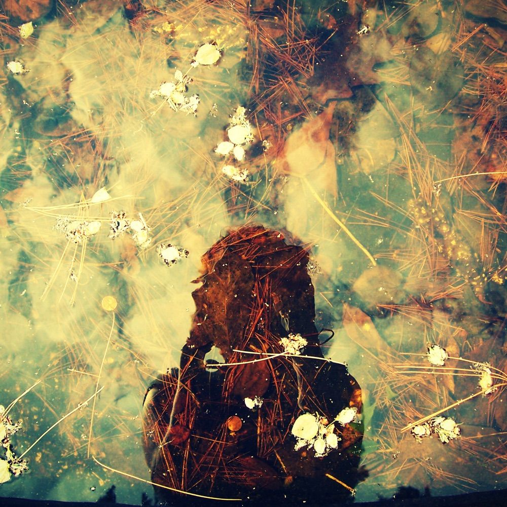 ZEEBAM | Bettina Csolkovits