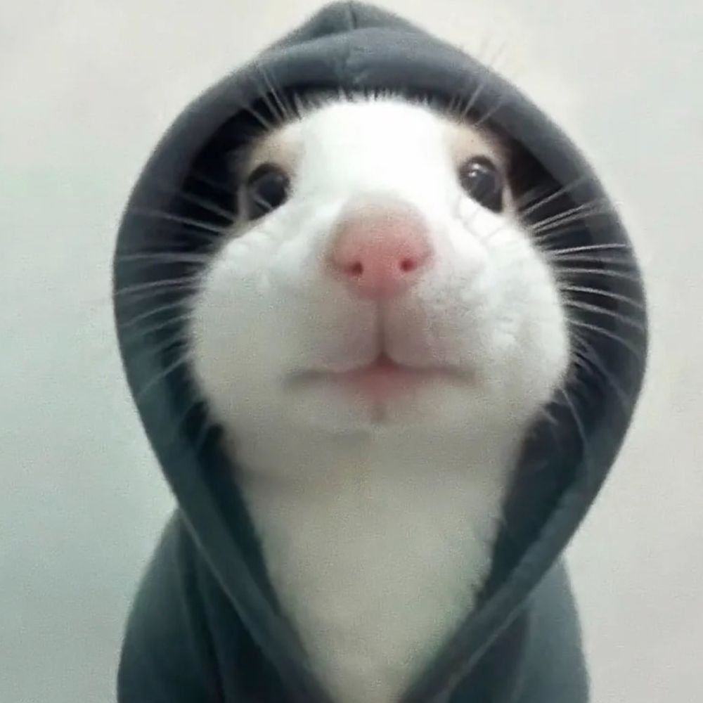 에드워드왕자