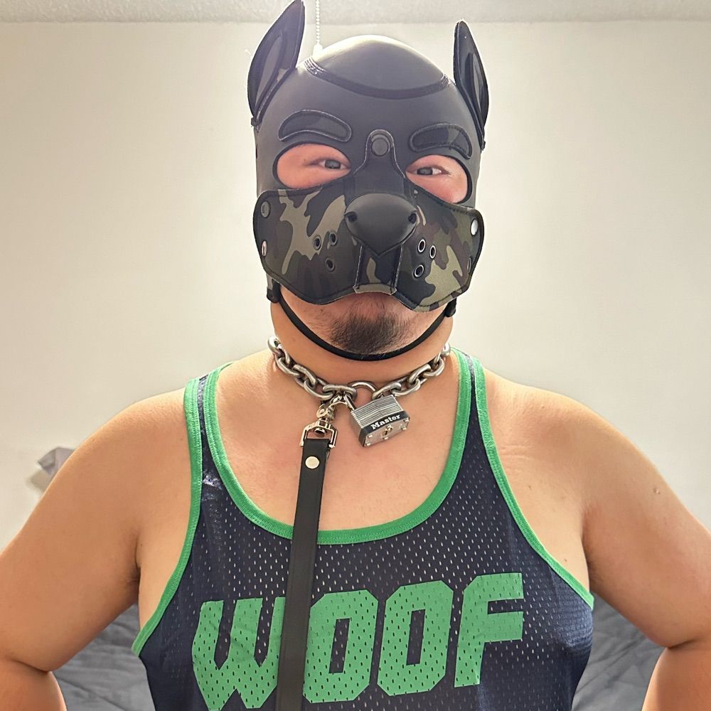 Pup: Mega Mecha