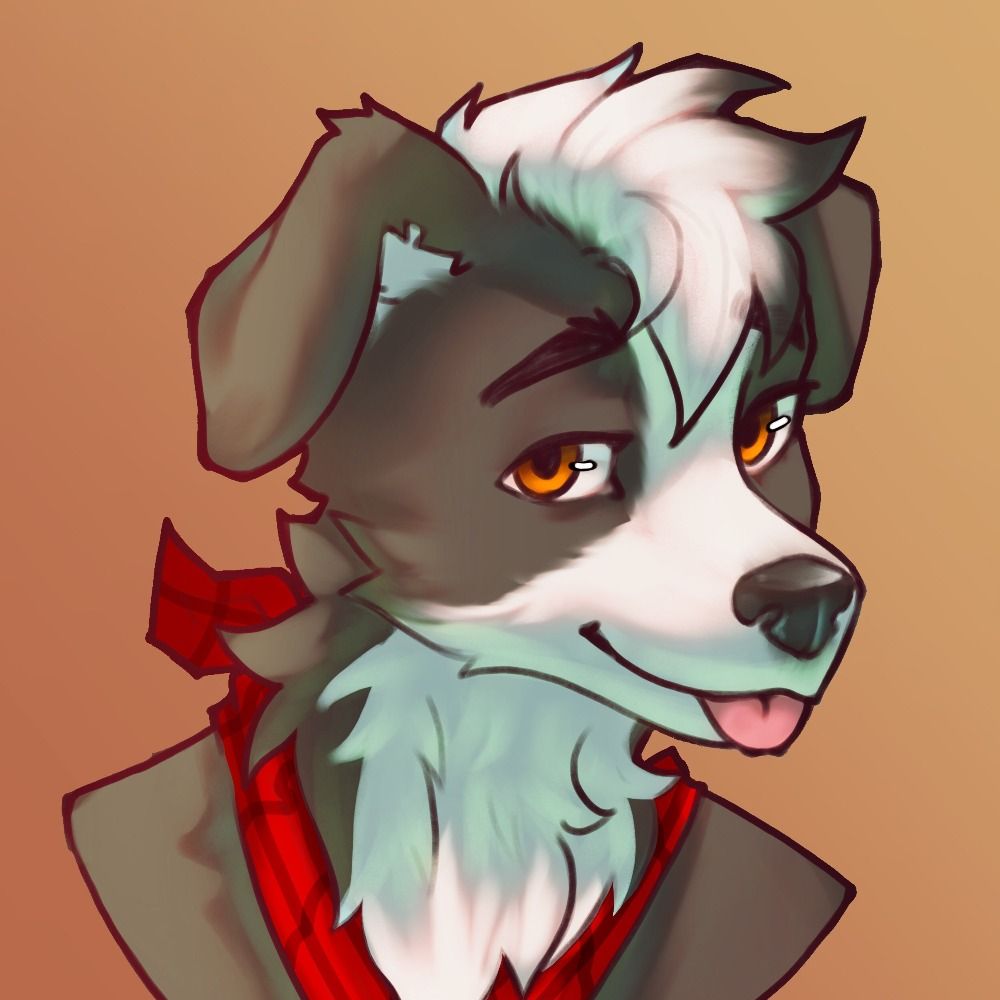 Luci