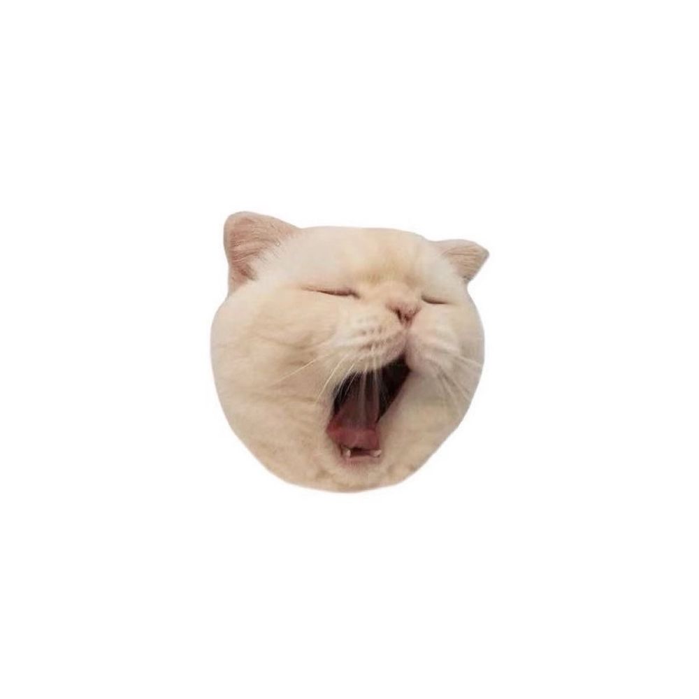 ㅤ