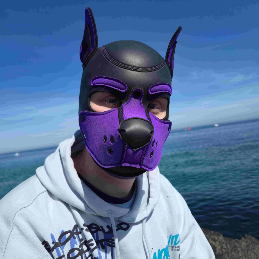 Pup Danzo