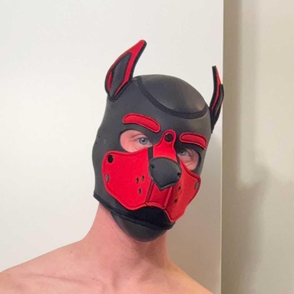Pup Dekker