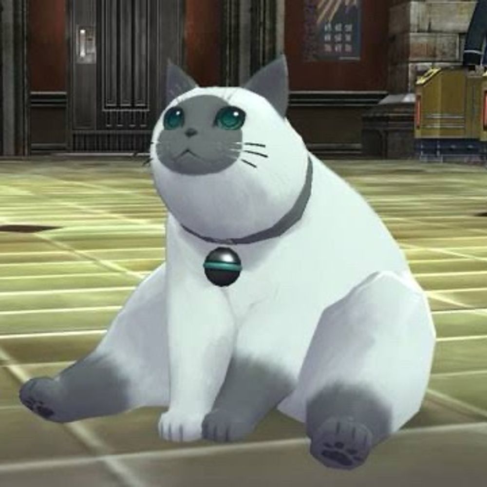 える❖