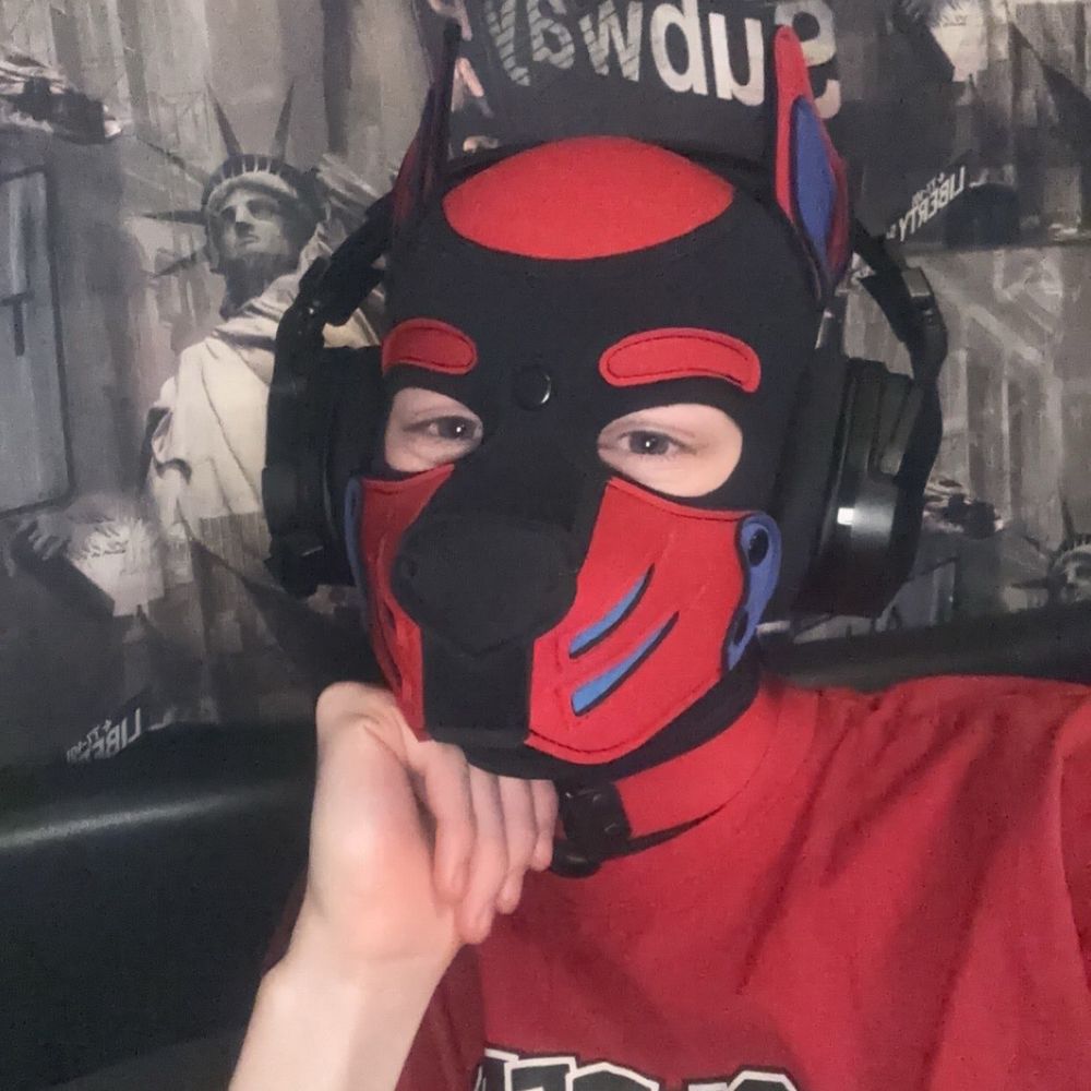 Baron the Pup