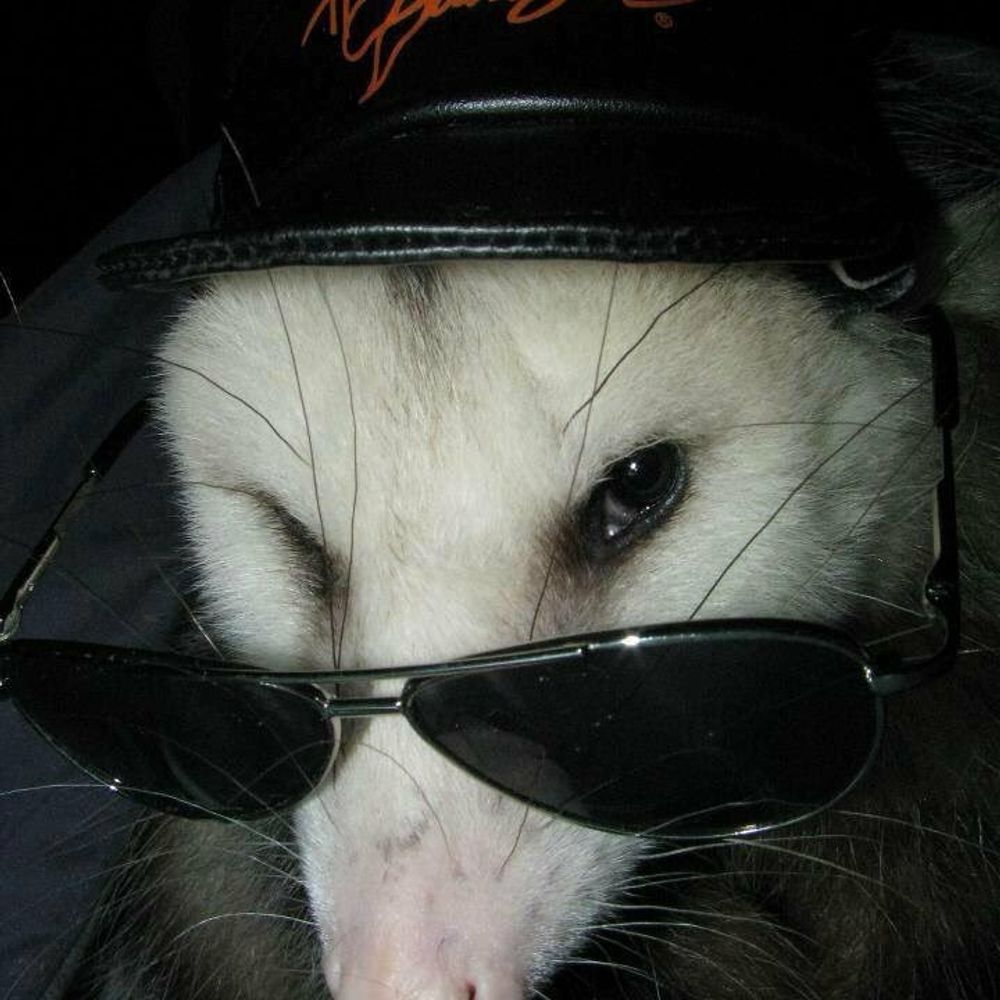 brub