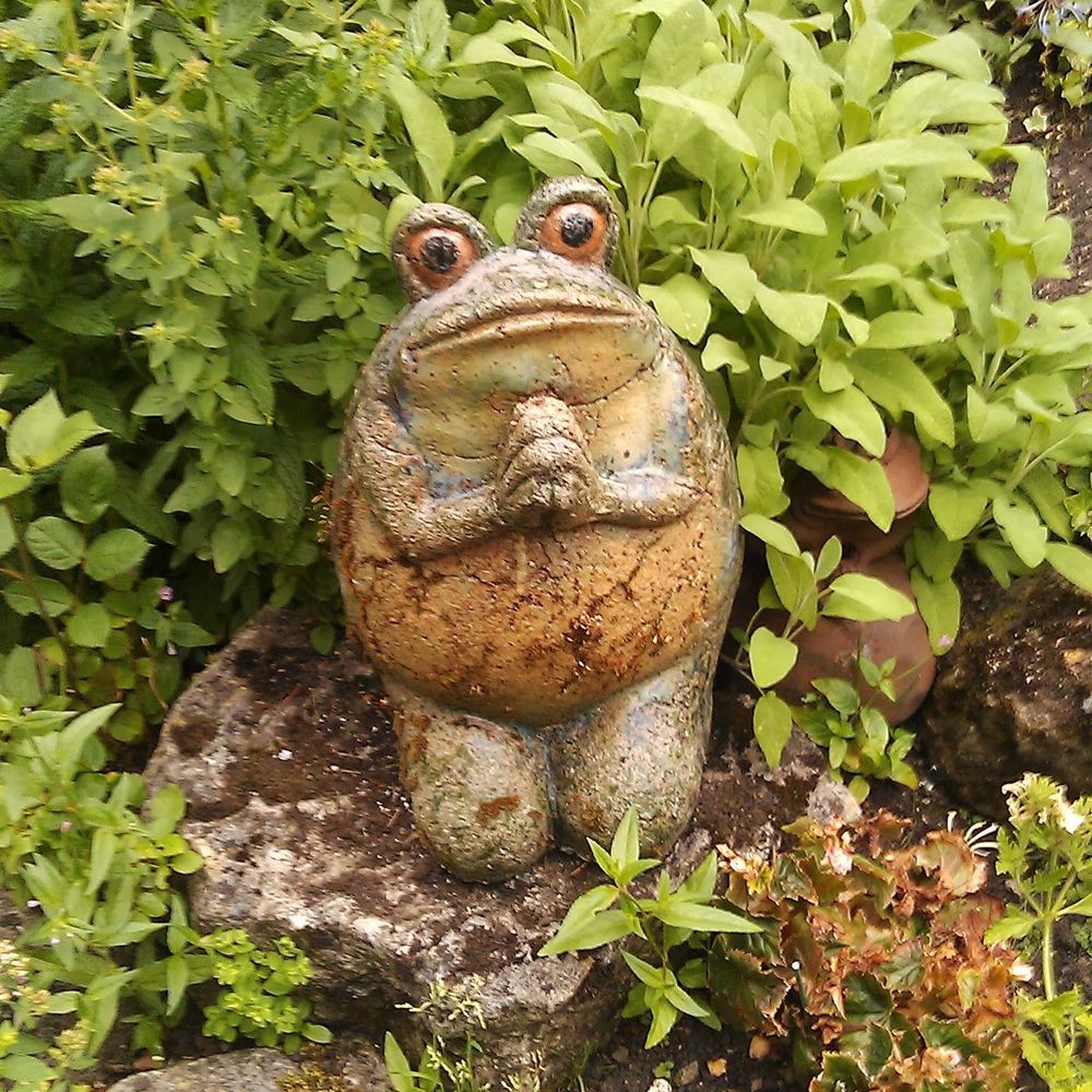 Kettlefrog