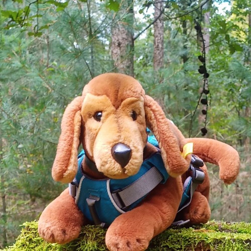 Ruppi-Struppi