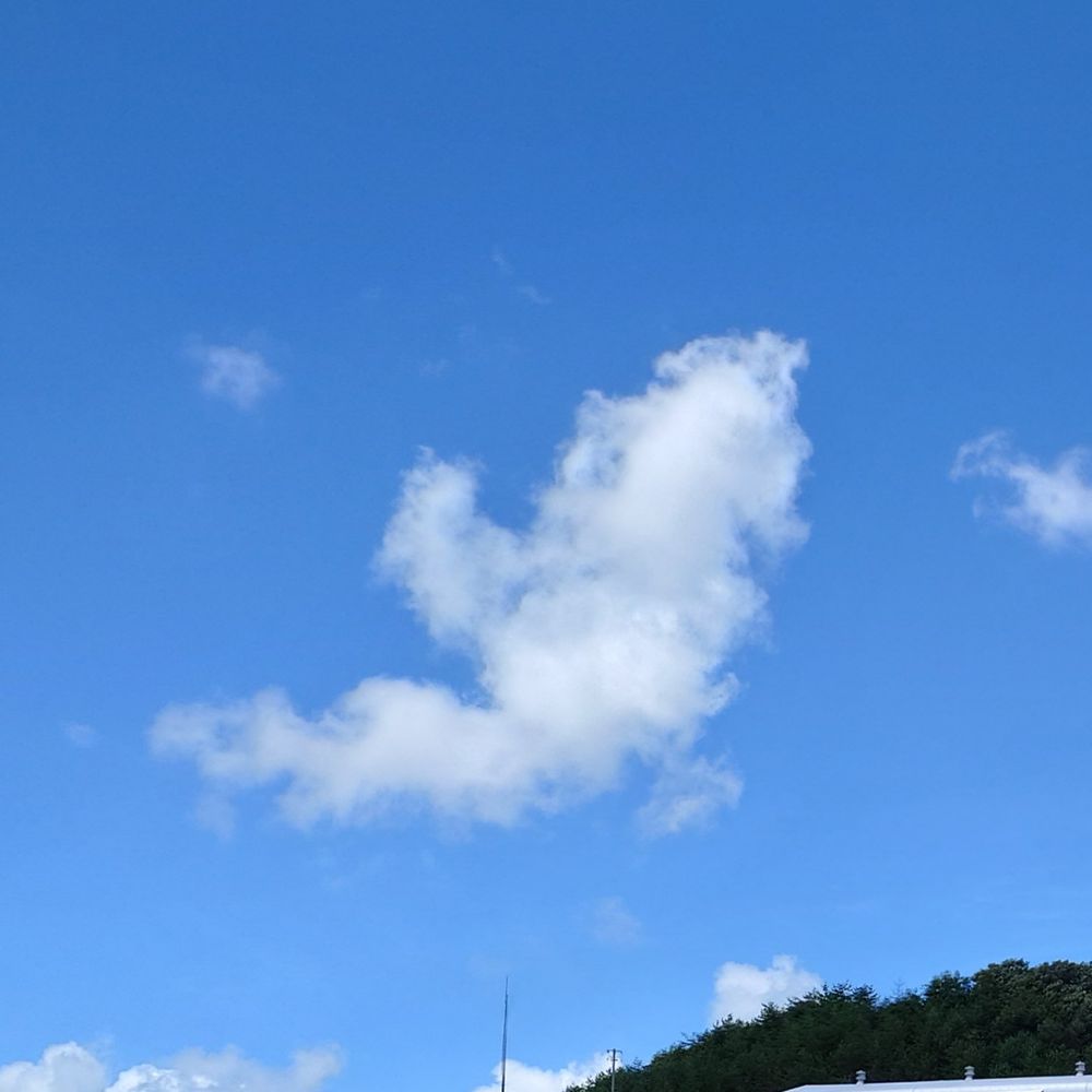 ひなせ