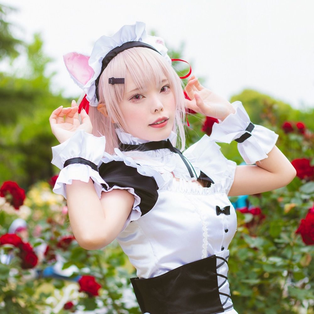 猫宮るみこ