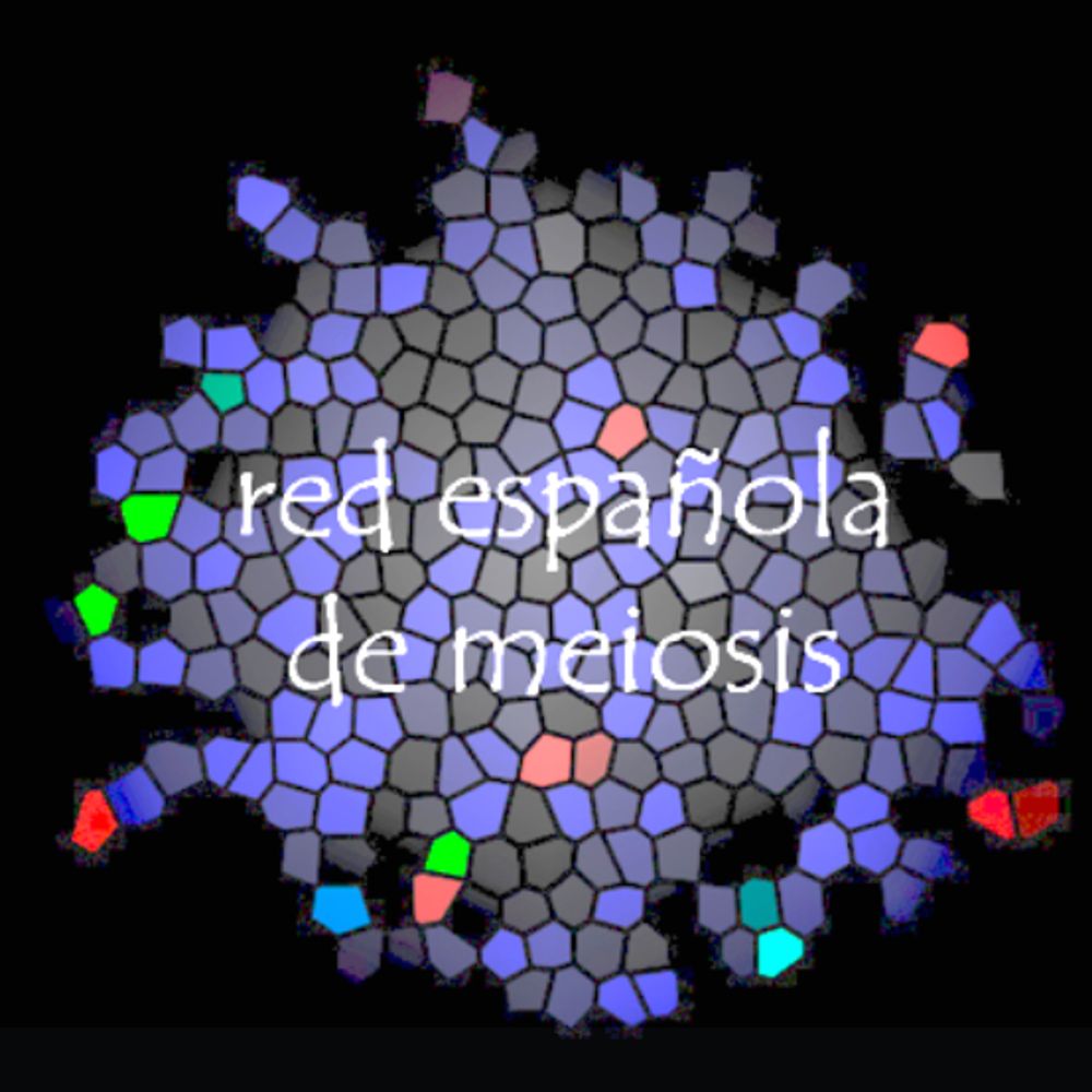 Spanish Meiosis Meeting