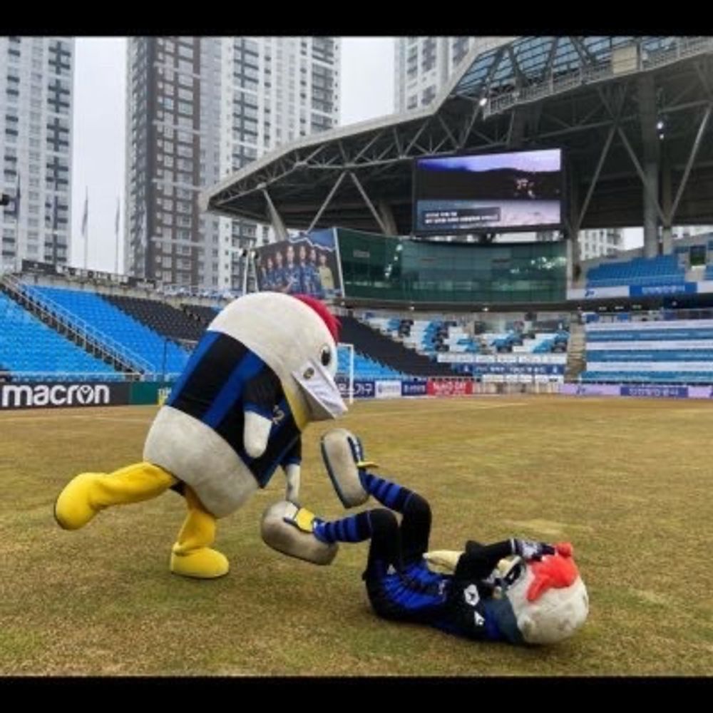 개축 과몰입 시작한 파검의 개축맨