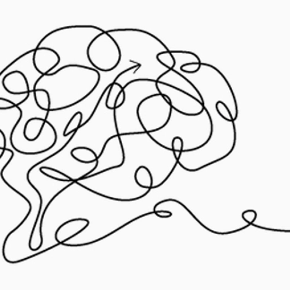 Brain-Immune Communication Lab