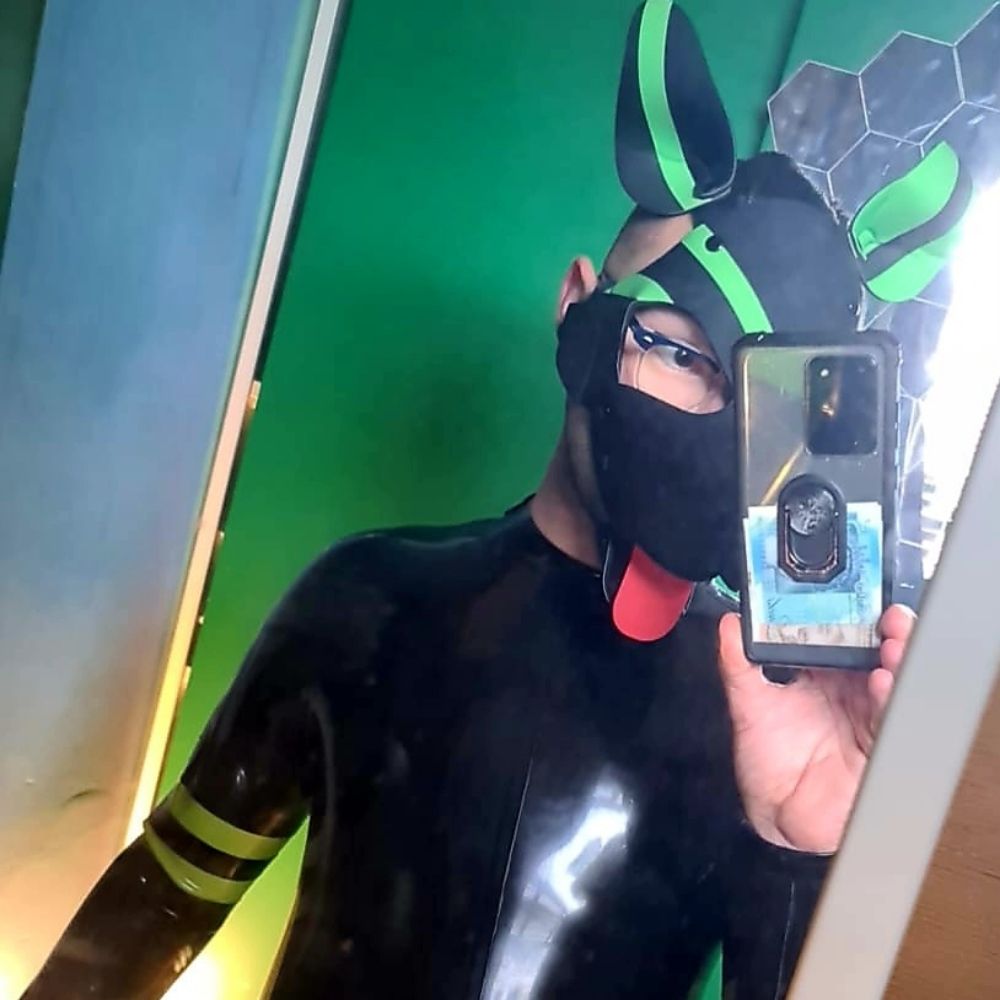 Pup Cosmic