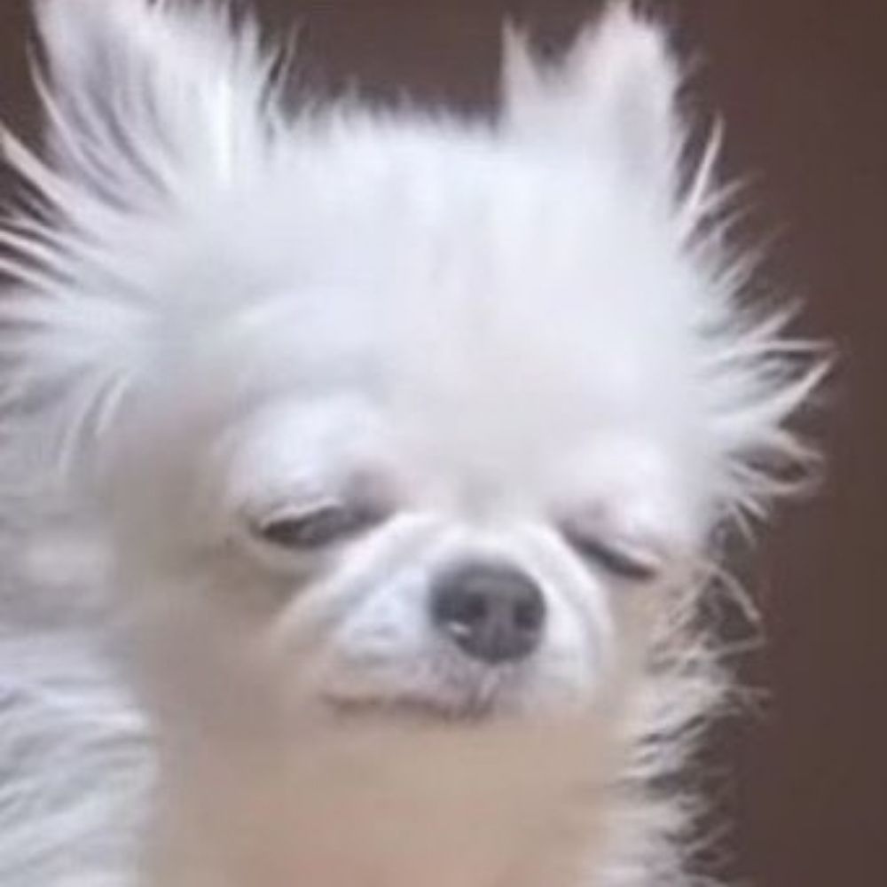 복주