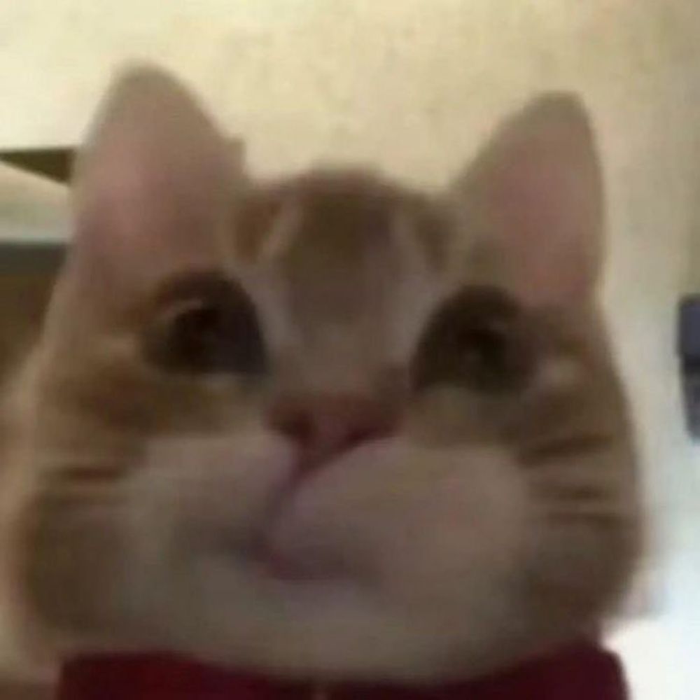 Paulo 
