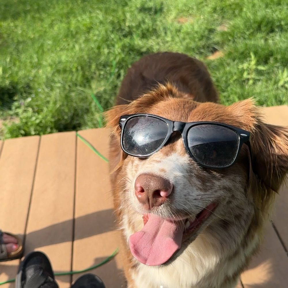 Meg the Aussie