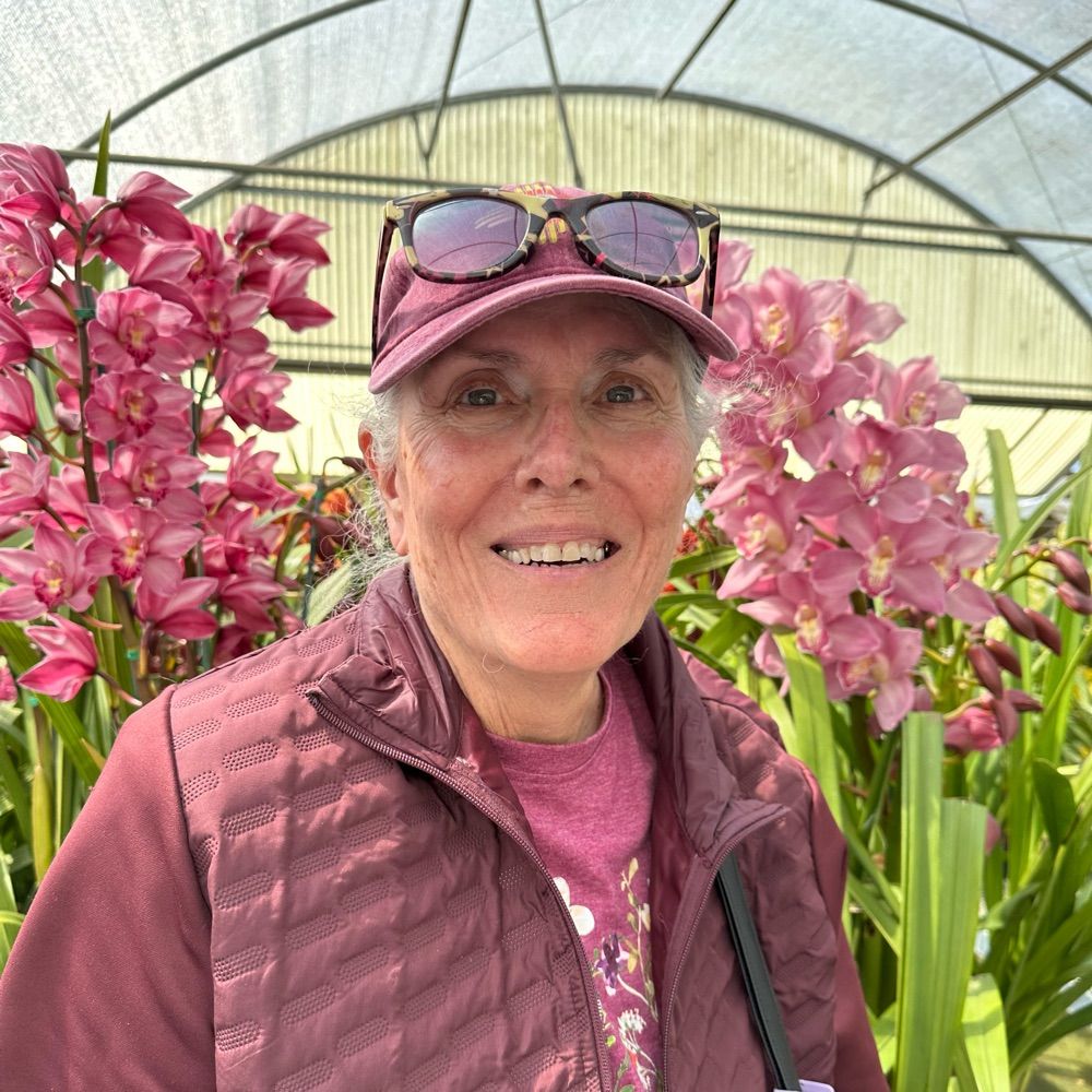 Carol Lingelbach
