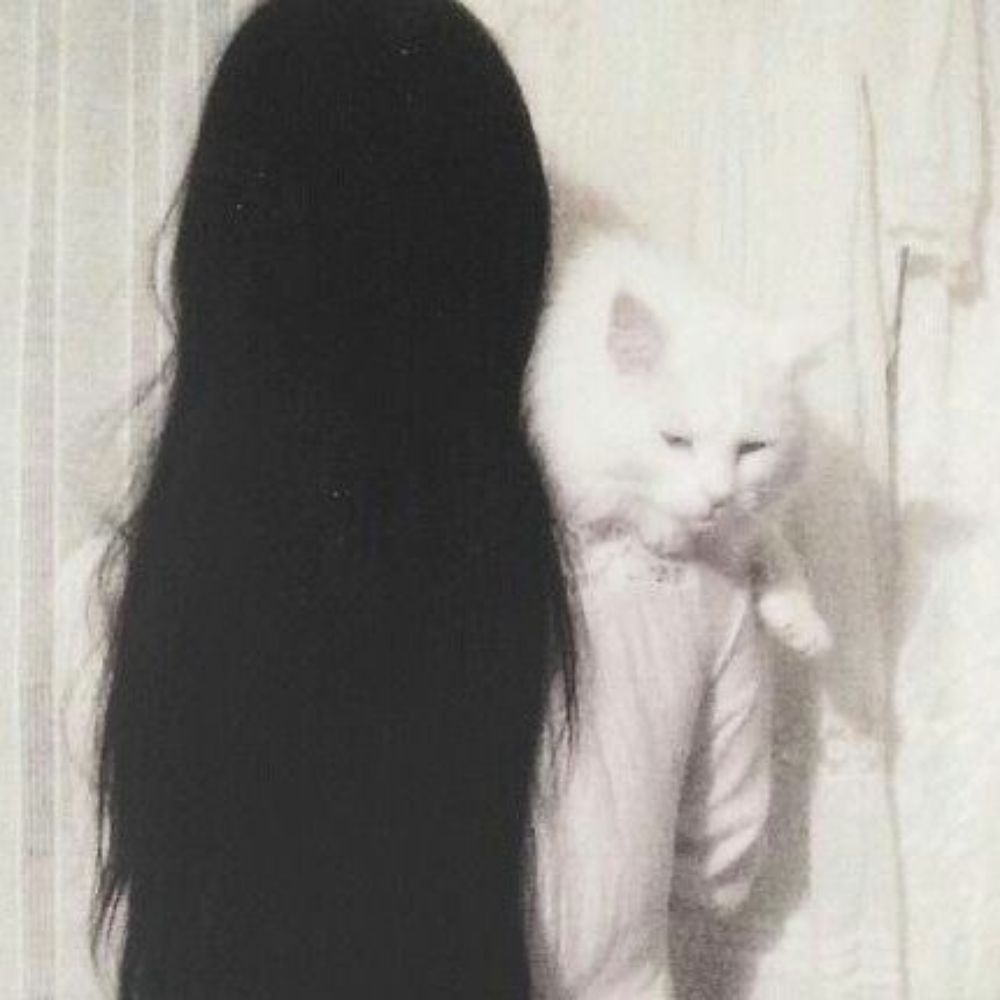 luud :3