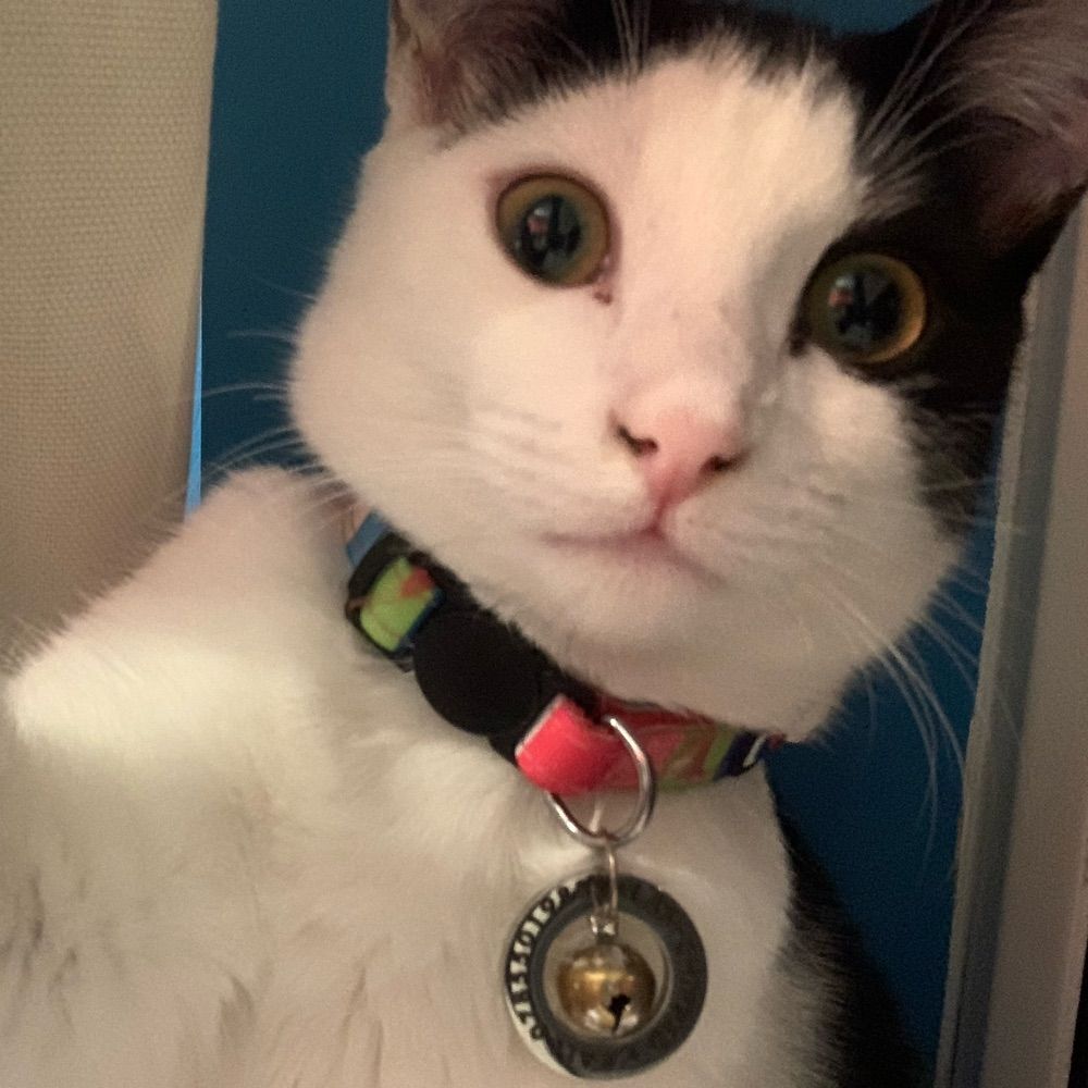 Frankie