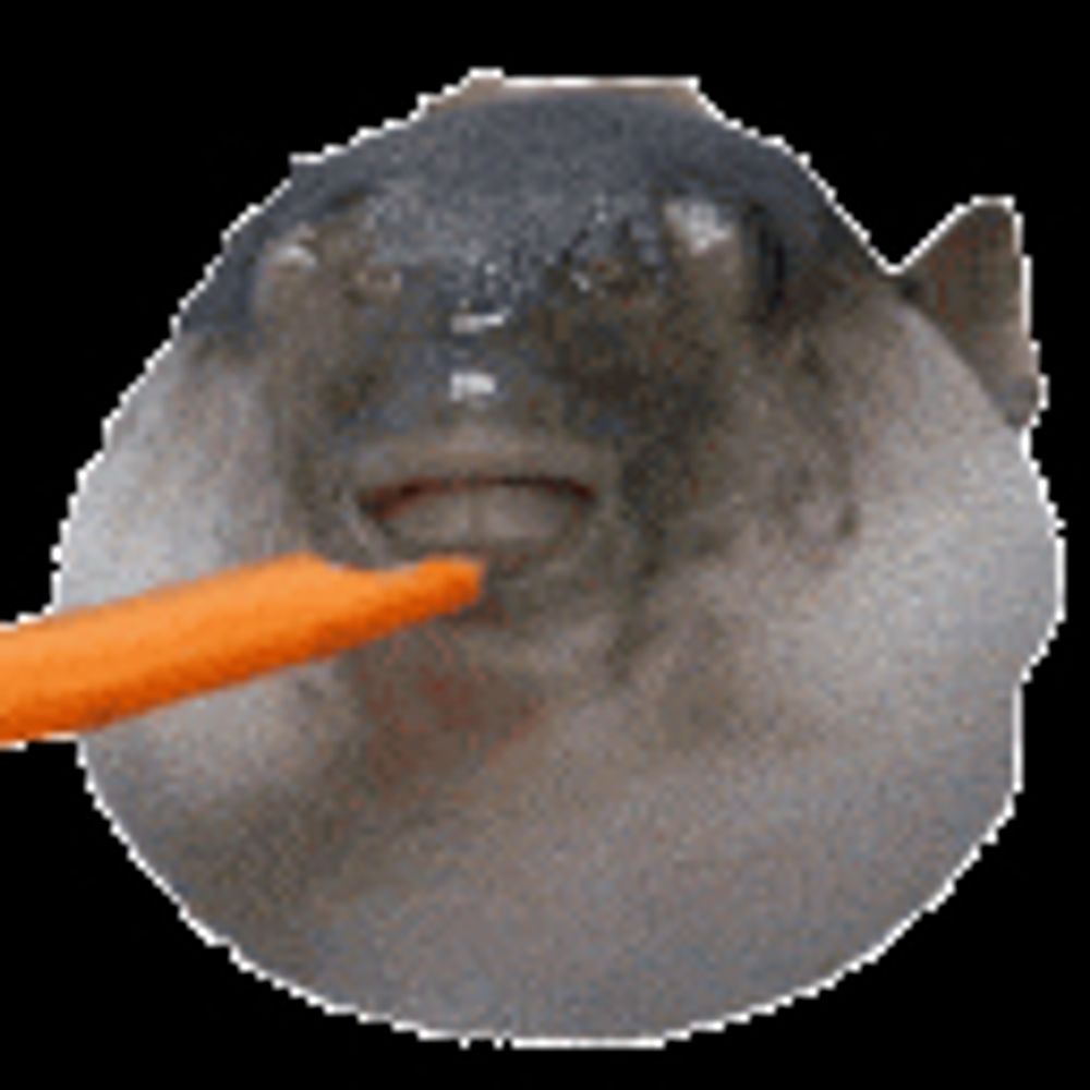 VeryPog