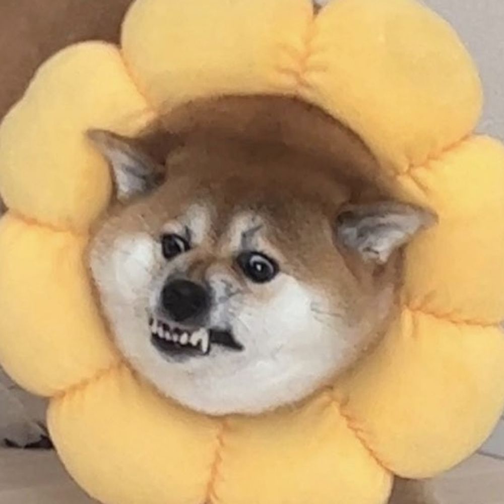 Omadios