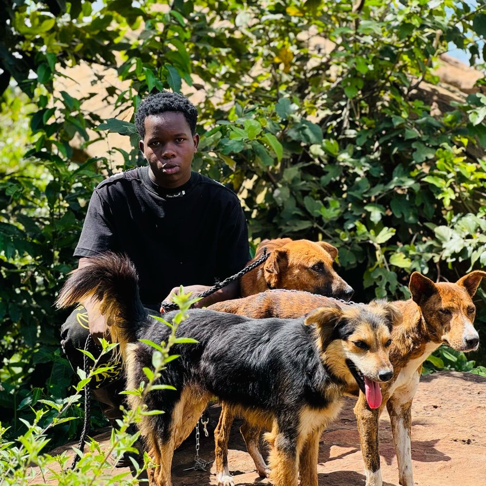 Ssali dogs shelter