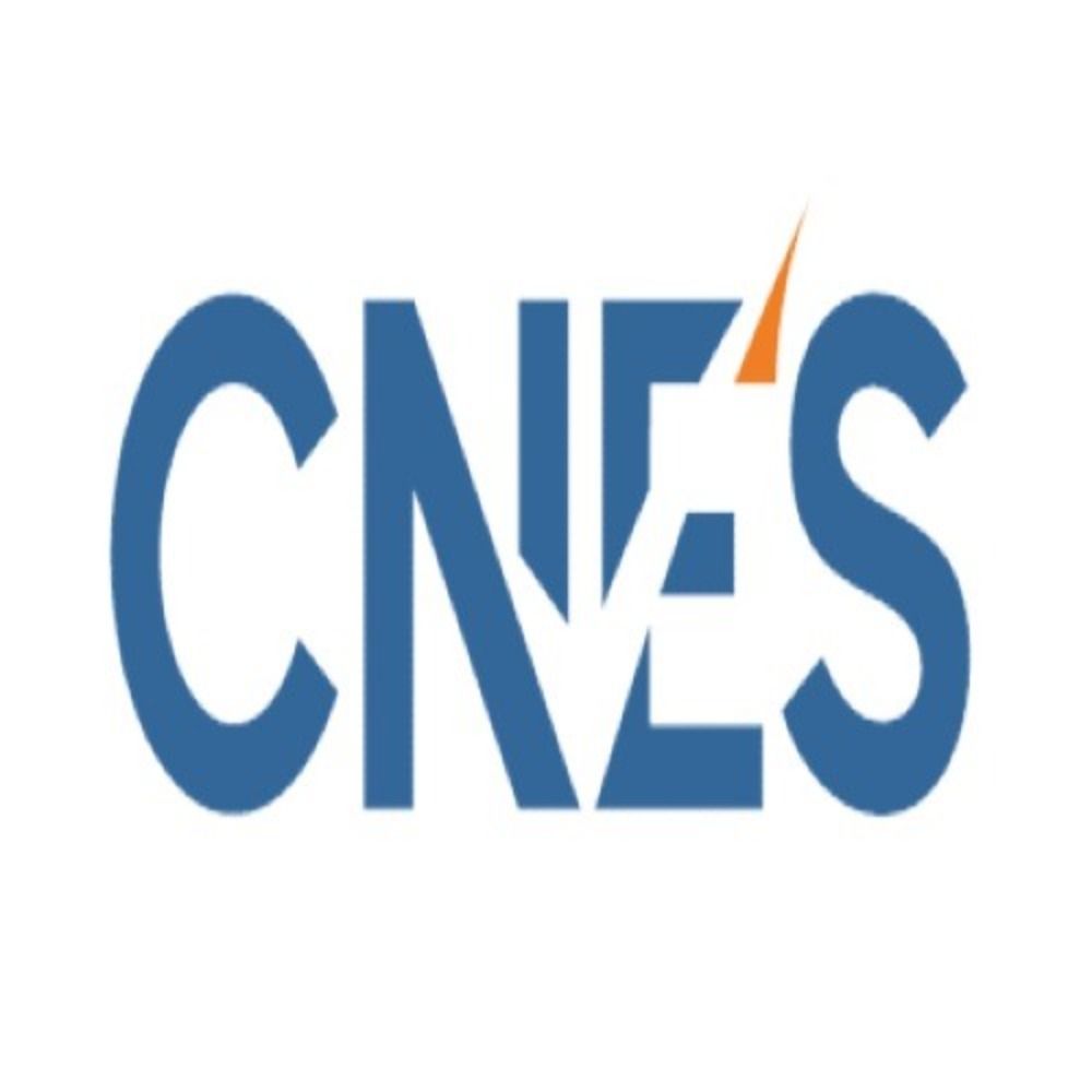 Consortium of National Election Studies