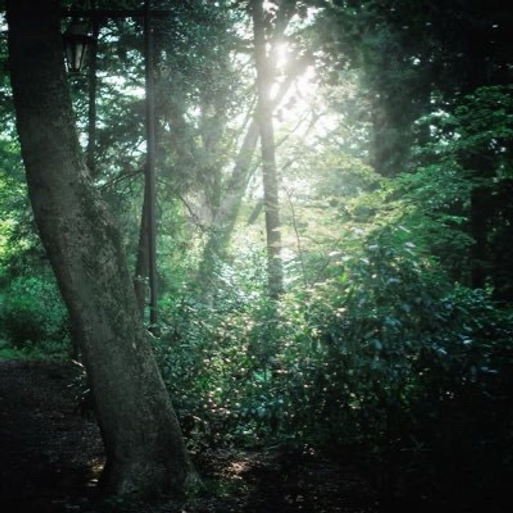 co.dai