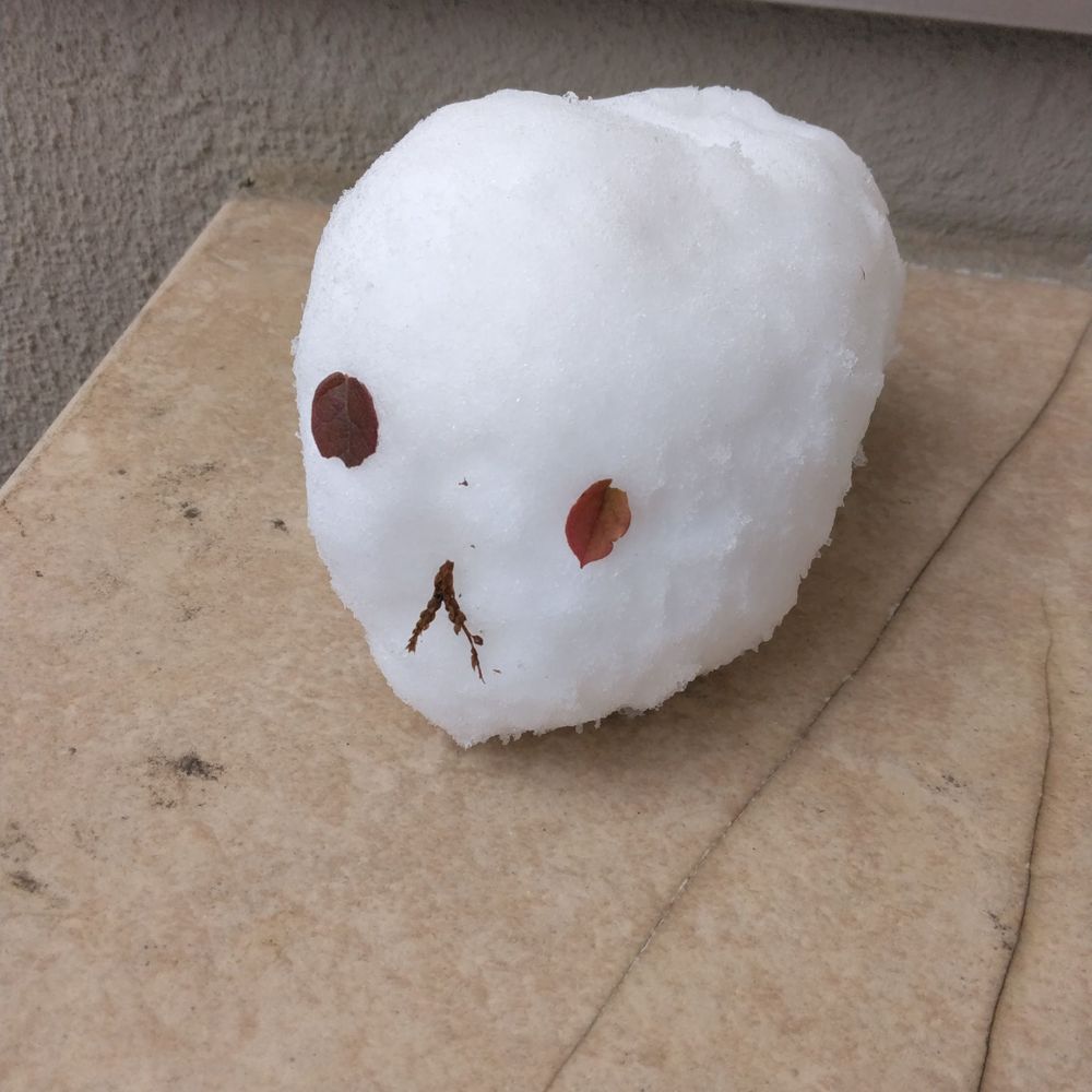 どぐう